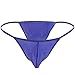 FEESHOW Men's Silky Bugle Pouch Tanga Briefs Bikini Underwear Purple