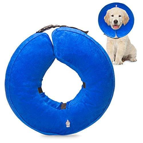 Best dog collars after surgery for 2019