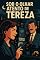 Livro Sob o olhar atento de Tereza