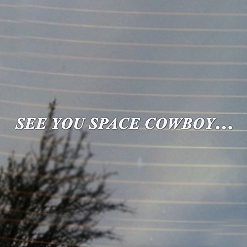 CMI319 See You Space Cowboy... Anime Vinyl Decal (White) - //coolthings.us