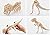 LightningStore Wooden Dinosaur Pteranodon Tyrannosaurus Rex Triceratops Velociraptor 3D Jigsaw Puzzle for Kids and Children - Educational Toy to Maximize Learning - Excellent Gift Idea