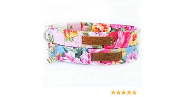 female dog collars
