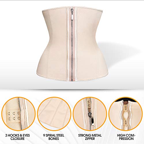ashlone latex waist trainer corset
