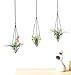 Mkono 3Pcs Hanging Air Plant Holder Himmeli for Tillandsia Airplants Display (with Chains), Black