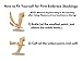 Zipper Compression Socks. 20-30mmHg. Knee Length. Large, Beige