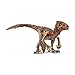 Schleich North America Feathered Raptors