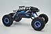 Blomiky C181 1:18 Scale 4WD High Speed Racing Blue RC Cars Electric Buggy Hobby Fast Off-Road Toy RC Truck Vehicle Toy Extra 2 Battery C181 Blue