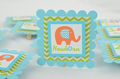 Elephant 12 Month Photo Banner, 1st Year Photo Clips, First Year Banner, Elephant Photo Banner, Light Turquoise and Lime Green, c-1024
