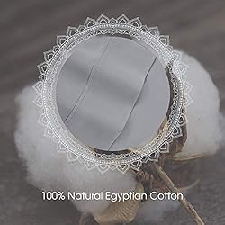 CharlottelyHues 1000 Thread Count Pillow Case 2