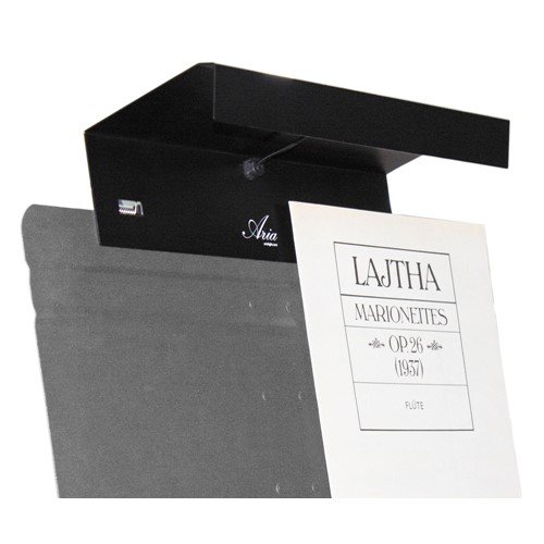 Aria D1T Diva Tall LED Music Stand Light