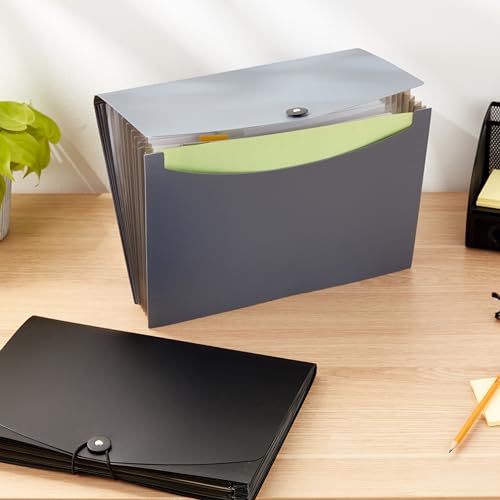 Expanding Organizer File Folder