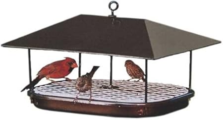 Amazon Com Duncraft 15401 Champion Squirrel Blocker Platform