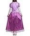 RED DOT BOUTIQUE 530 - Plus Size Purple Blue Princess Dress Party Costume Adult Women (Purple, 3X)