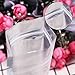 Thalia 200Pcs Recloeable Mylar Bags Clear Silver Aluminum Foil Mylar Ziplock Bag 3.35x5.5inches