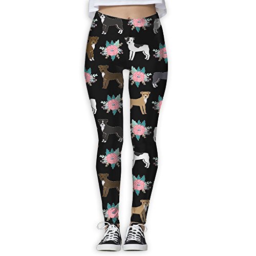 pitbull leggings amazon