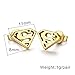 DIB 11mm Stainless Steel Superman Mark Triangle