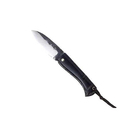 Citadel Taschenmesser Aizto, 78322