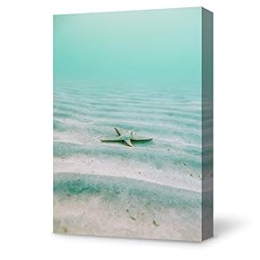 Starfish on Ocean Painting Wall for Bedroom Living Room