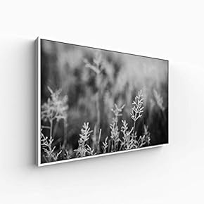 Canvas Wall Art for Living Room, Bedroom Monochrome Plants Framed Canvas Prints for Home Decoration Ready to Hang - 16x24 inches