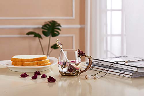 SEMAXE 11OZ Glass Tea Cup Coffee Mug ,Hand Blown Glass Drinking Mug Made of Lead-free Glass and Enamels