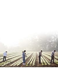 Gaia Herbs: fitocápsulas líquidas para la salud adrenal., 120, 1, 1