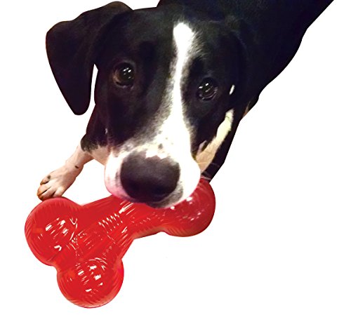 Spot Ethical Play Strong Indestructible Bone 5.5in