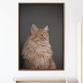 signwin Framed Canvas Wall Art Cat Animals Cat...