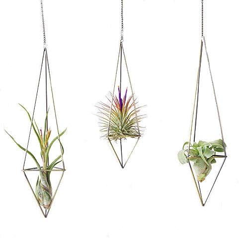 AnLeKING 3 Pack Hanging Air Plant Holder Himmeli for Tillandsia Airplants Display Metal Tillandsia Rack Home Decor