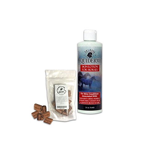 Best Rain Rot Treatment For Horses - Equiderma Skin Lotion Ring Worm, Scratch Treatment PLUS Mikes Instinct Munchies [BUNDLE Pack] - Addicting Apple Horse Treats & Horse Cannon Bone Scurf Relief
