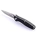 Knife F738 Firebird by Ganzo G738 Pocket Folding Hunting Knife G-10 Handle SS Blade (Black)