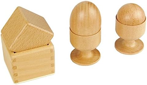 Kid Advance Montessori 3D Object Fittling Exercise