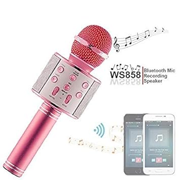 wireless microphone hifi speaker wster