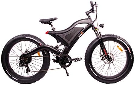 قیمت و خرید Fat Tire Electric Bike 