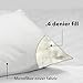 Deluxe Home Gel Fiber Queen Pillow 2 Pack - Hypoallergenic, Extra Plush Down Alternative Bed Pillows - .4 Micro Denier Fill with Microfiber Fabric Shell - Crafted in USA (Extra Soft Value 2-Pack)