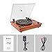 HOFEINZ Vintage Style Natural Wood Belt Driven Turntable with 3 Speed Built in Stereo Speakers, Bluetooth and Vinyl-to-MP3 Recording