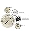 Blanc Fleur 15 inch Decorative Outdoor Thermometer for Garage, Patio, Backyard, Outdoor Wall, Fence Outdoor Thermometer Decorative Patio Thermometer Vintage Antique Aged White Ivory Easy to Read