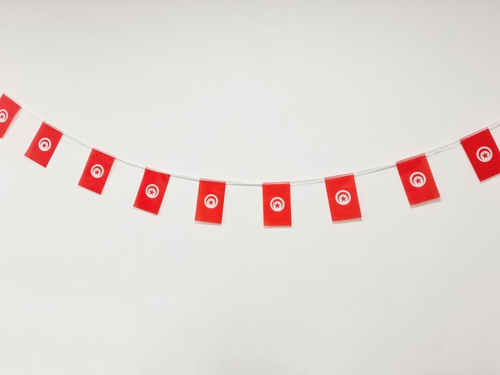 Tunisia Flag 40pcs Tunisia Flag Tunisia Garland 11.4M Tunisia Bunting National Flag European Flags 14x21cm for Bar Decorations