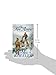 The Fire Arrow: A Barnaby Skye Novel (Skye's West)