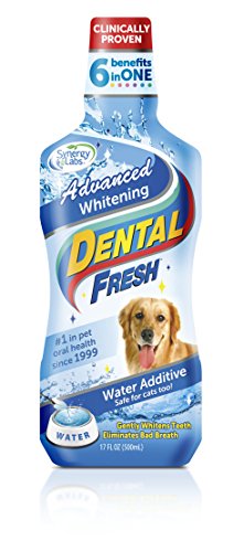 SynergyLabs Dental Fresh Advanced Whitening - Thumbnail 3