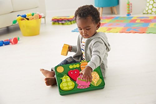 fisher price play garden