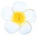 Anleolife Hawaiian Flowers Foam Hair Clips Bridal Barrette Hairpieces Tropical Beach Wedding Plumeria Flower Bridal Orchid Hairclip Hairpin Beauty Accessories 2Large 4 Small 6pcs/lot (mix color 6pcs)