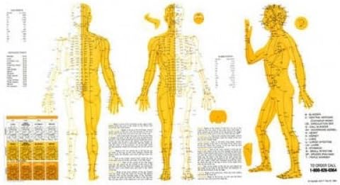 TOUCH FOR HEALTH Meridian Chart: Acupuncture Meridian Chart