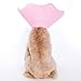 Alfie Pet by Petoga Couture - Noah Recovery Collar (for Dogs and Cats) - Pattern: Pink Pom Pom, Size: Small