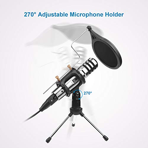 4 DricRoda+Condenser+Microphone+Recording+Conference