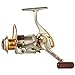 DIWA Spinning Fishing Reels for Saltwater Freshwater 1000 2000 3000 4000 5000 6000 Series Left/Right Interchangeable Trout Spinning Reel Carp Fishing Spool 10 Ball Bearings Light and Smooth