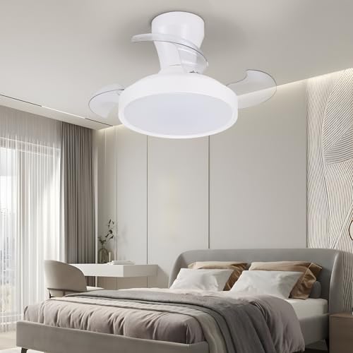 activeallbrite Ceiling fan with light, DC motor, 38W, 6 speeds, retractable blades, 3000K-6500K, summer-winter function, timer, Ø55cm.