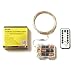 RTGS 60 LEDs String Lights Battery Operated on 20 Feet Long Silver Color Wire, Indoor and Outdoor with Waterproof Battery Box and Timer (Warm White Remote Control Functions)