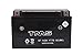 TMS AGM ATV Battery Yt7b-bs Yt7b-4 for Suzuki Drz400 E/s/sm 00-09 Yamaha Yfz450 04-09 450x Ds450 TTR 250 225 Zuma Yw 125 Triumph Daytona 675 2006-2011