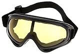 SanWay Protective Snow Skating Riding Cycling Goggles