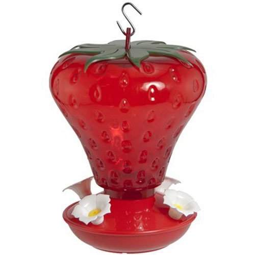 Audubon NA5540 991010 40 oz Cap Strawberry Hummingbird Feeder, Red